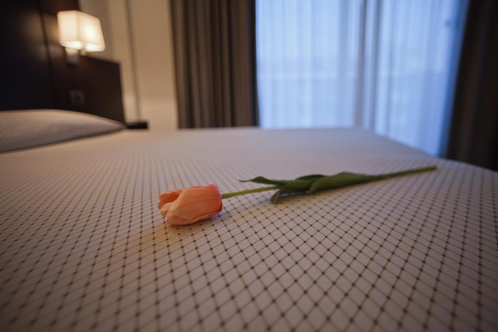 Hotel Principe Residence Vasto Oda fotoğraf